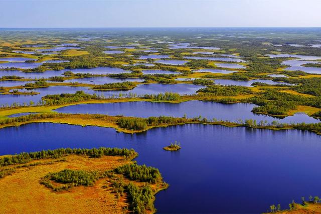 俄罗斯沼泽沼泽成因答题套路-第10张图片-太平洋在线