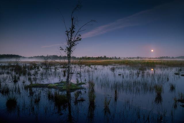 俄罗斯沼泽沼泽成因答题套路-第11张图片-太平洋在线