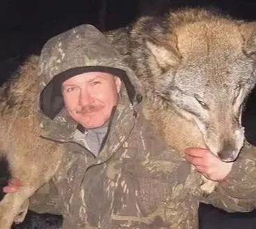 俄罗斯捕狼狼群里真的有60只狼吗-第3张图片-太平洋在线