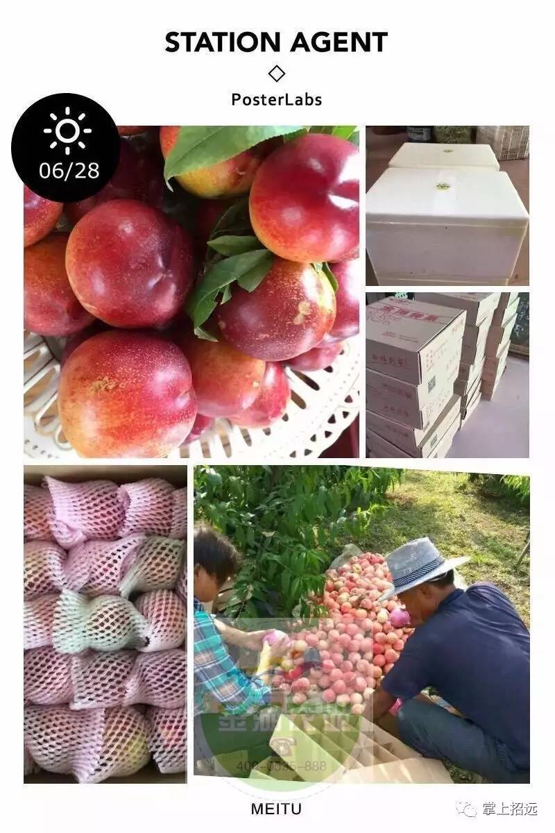 掌上仙桃手机客户端包站gm后台手游平台