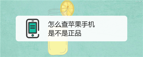 琼版苹果怎么查琼版苹果是什么意思