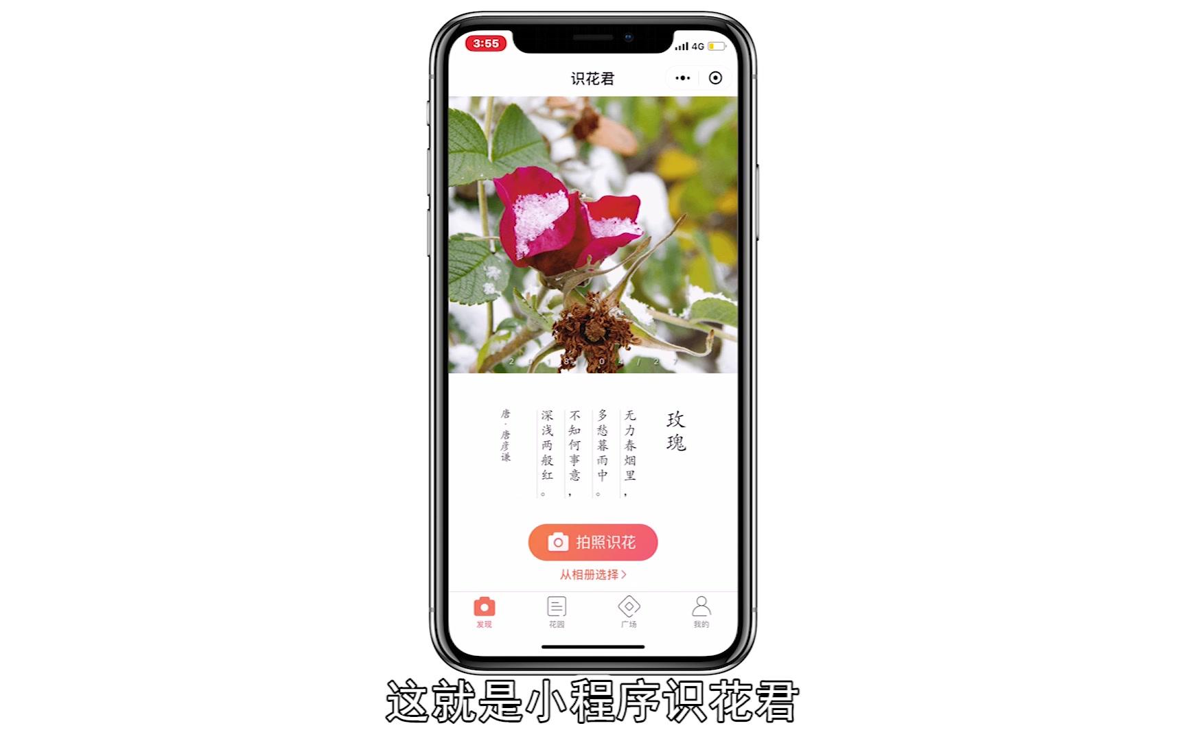 植物达人苹果版下载植物大战僵尸1老版本-第1张图片-太平洋在线下载